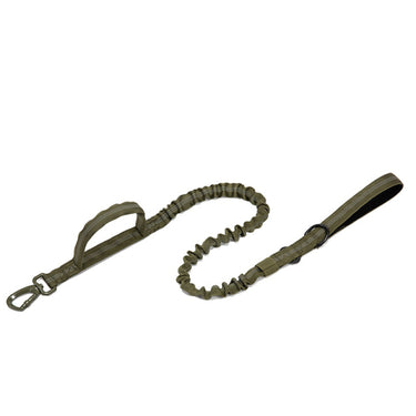 Dog Heaven™ Heavy Duty Collar & Bungee Leash